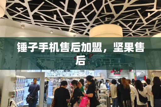 锤子手机售后加盟，坚果售后