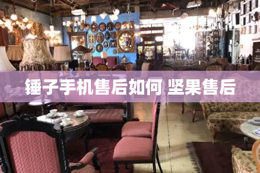 锤子手机售后如何 坚果售后