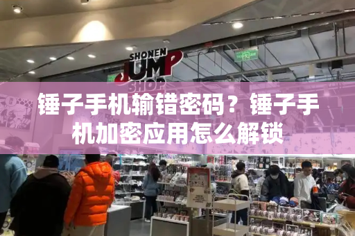 锤子手机输错密码？锤子手机加密应用怎么解锁-第1张图片-星选测评