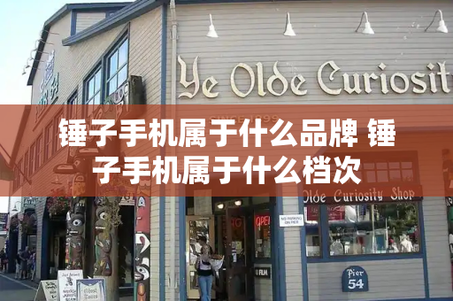 锤子手机属于什么品牌 锤子手机属于什么档次-第1张图片-星选测评