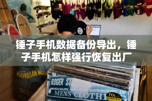 锤子手机数据备份导出，锤子手机怎样强行恢复出厂