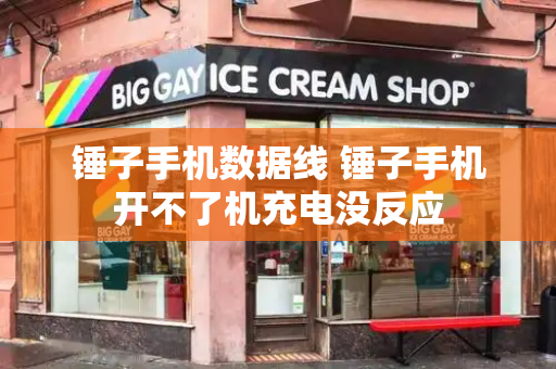 锤子手机数据线 锤子手机开不了机充电没反应-第1张图片-星选测评