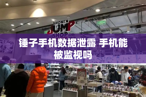 锤子手机数据泄露 手机能被监视吗