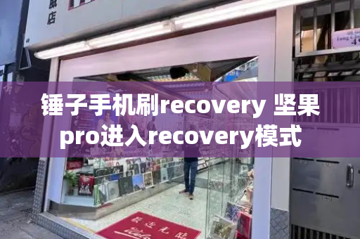 锤子手机刷recovery 坚果pro进入recovery模式-第1张图片-星选测评