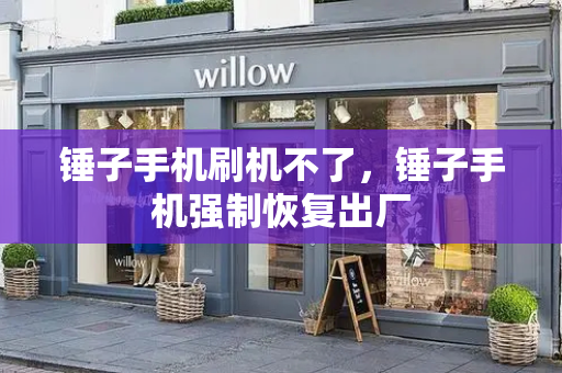 锤子手机刷机不了，锤子手机强制恢复出厂-第1张图片-星选测评