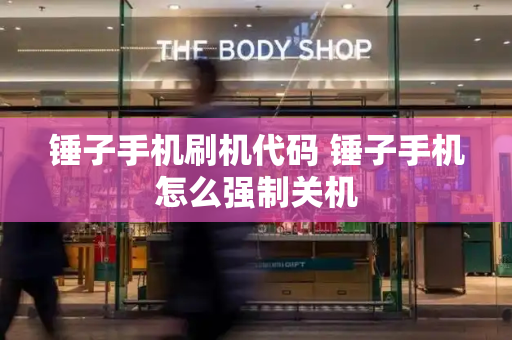 锤子手机刷机代码 锤子手机怎么强制关机-第1张图片-星选测评