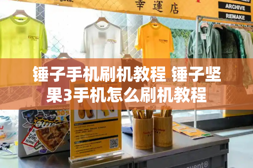 锤子手机刷机教程 锤子坚果3手机怎么刷机教程-第1张图片-星选测评