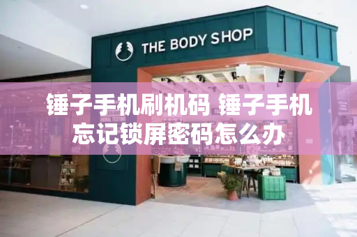 锤子手机刷机码 锤子手机忘记锁屏密码怎么办