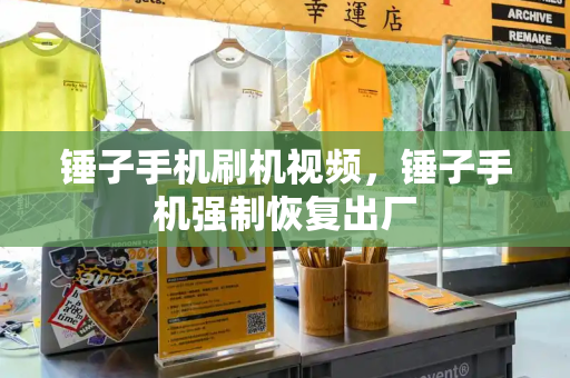 锤子手机刷机视频，锤子手机强制恢复出厂-第1张图片-星选测评