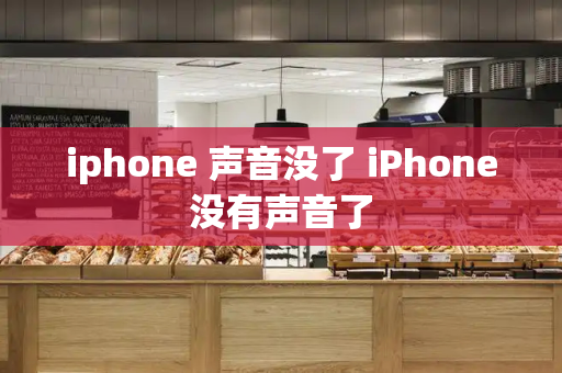 iphone 声音没了 iPhone没有声音了