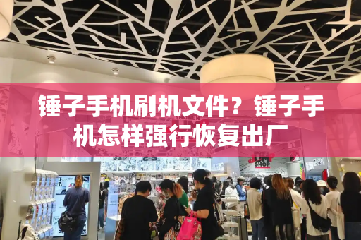 锤子手机刷机文件？锤子手机怎样强行恢复出厂-第1张图片-星选测评