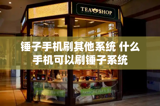 锤子手机刷其他系统 什么手机可以刷锤子系统-第1张图片-星选测评