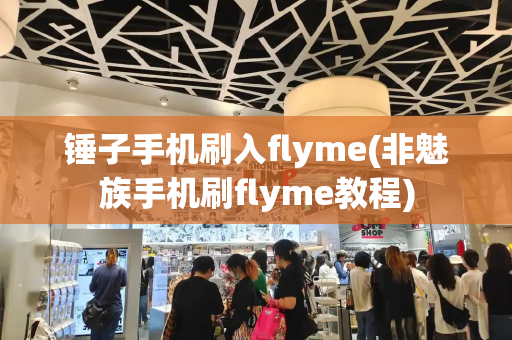 锤子手机刷入flyme(非魅族手机刷flyme教程)