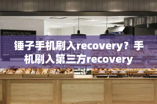 锤子手机刷入recovery？手机刷入第三方recovery-第1张图片-星选测评