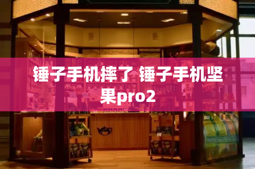 锤子手机摔了 锤子手机坚果pro2
