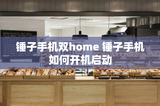 锤子手机双home 锤子手机如何开机启动-第1张图片-星选测评
