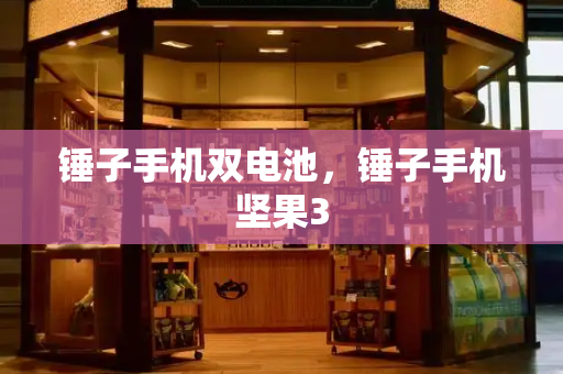 锤子手机双电池，锤子手机坚果3-第1张图片-星选测评