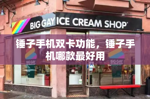 锤子手机双卡功能，锤子手机哪款最好用