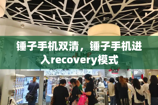 锤子手机双清，锤子手机进入recovery模式-第1张图片-星选测评
