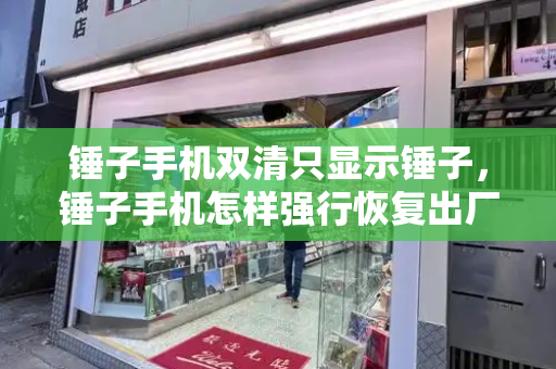 锤子手机双清只显示锤子，锤子手机怎样强行恢复出厂-第1张图片-星选测评