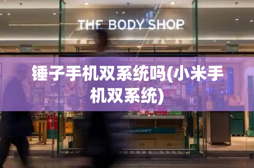 锤子手机双系统吗(小米手机双系统)