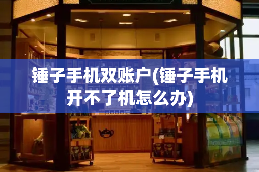 锤子手机双账户(锤子手机开不了机怎么办)-第1张图片-星选测评