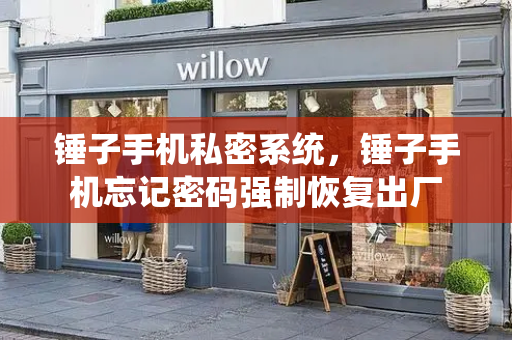 锤子手机私密系统，锤子手机忘记密码强制恢复出厂-第1张图片-星选测评