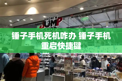 锤子手机死机咋办 锤子手机重启快捷键