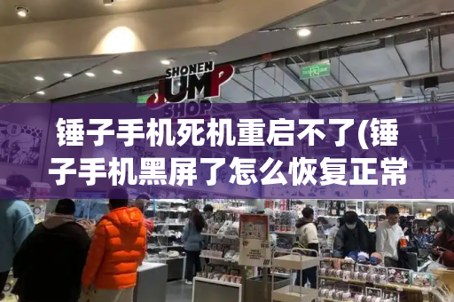 锤子手机死机重启不了(锤子手机黑屏了怎么恢复正常)-第1张图片-星选测评