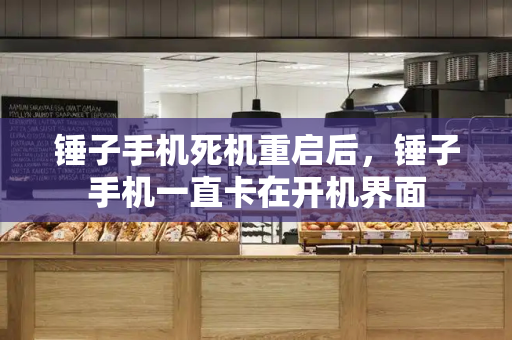 锤子手机死机重启后，锤子手机一直卡在开机界面-第1张图片-星选测评