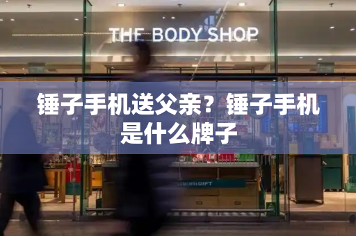 锤子手机送父亲？锤子手机是什么牌子