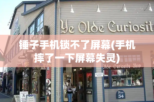 锤子手机锁不了屏幕(手机摔了一下屏幕失灵)-第1张图片-星选测评