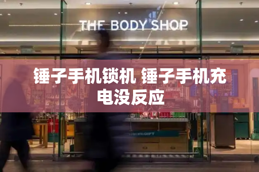 锤子手机锁机 锤子手机充电没反应-第1张图片-星选测评