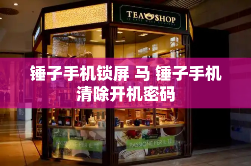 锤子手机锁屏 马 锤子手机清除开机密码-第1张图片-星选测评