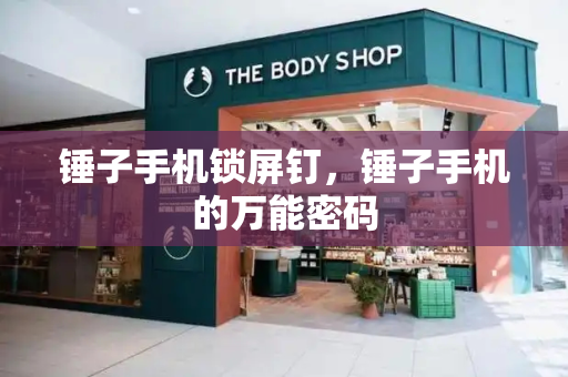 锤子手机锁屏钉，锤子手机的万能密码-第1张图片-星选测评