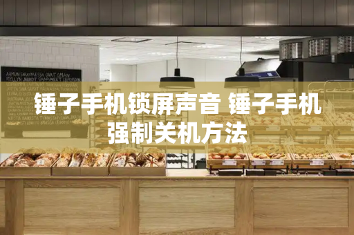 锤子手机锁屏声音 锤子手机强制关机方法-第1张图片-星选测评