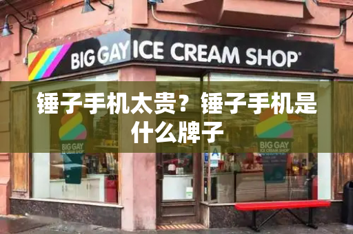 锤子手机太贵？锤子手机是什么牌子-第1张图片-星选测评