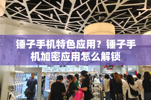 锤子手机特色应用？锤子手机加密应用怎么解锁-第1张图片-星选测评