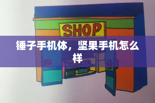 锤子手机体，坚果手机怎么样