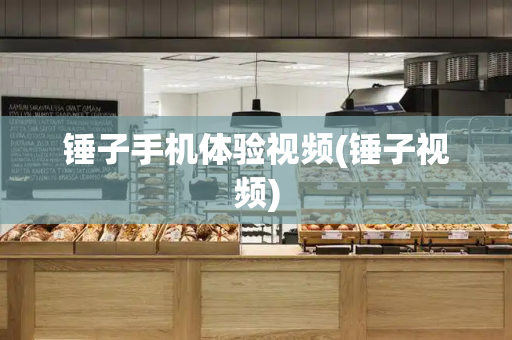 锤子手机体验视频(锤子视频)