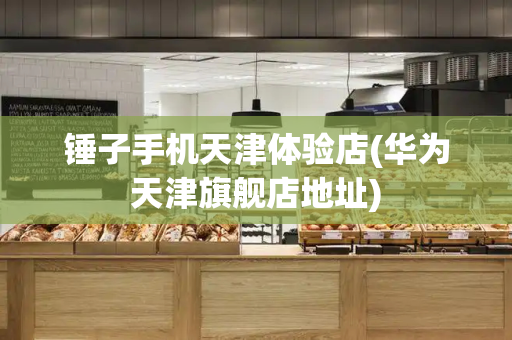 锤子手机天津体验店(华为天津旗舰店地址)