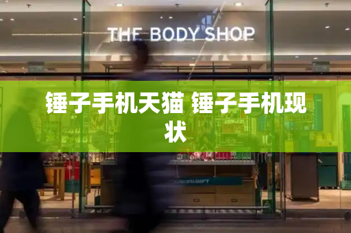 锤子手机天猫 锤子手机现状-第1张图片-星选测评