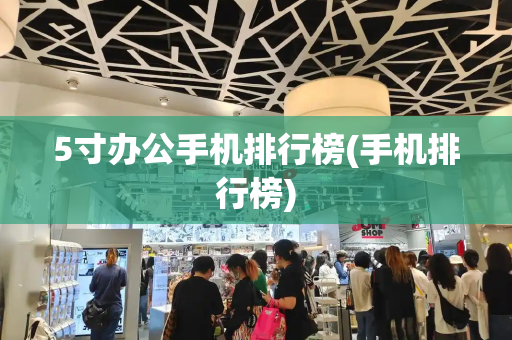 5寸办公手机排行榜(手机排行榜)
