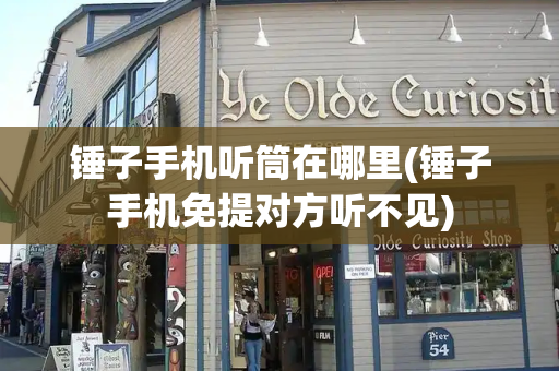 锤子手机听筒在哪里(锤子手机免提对方听不见)-第1张图片-星选测评