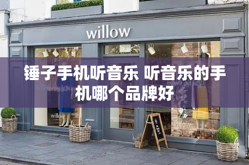 锤子手机听音乐 听音乐的手机哪个品牌好-第1张图片-星选测评