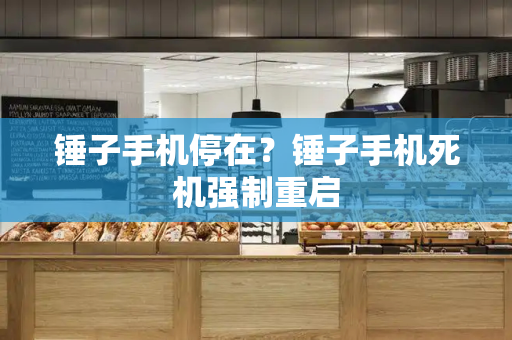 锤子手机停在？锤子手机死机强制重启-第1张图片-星选测评
