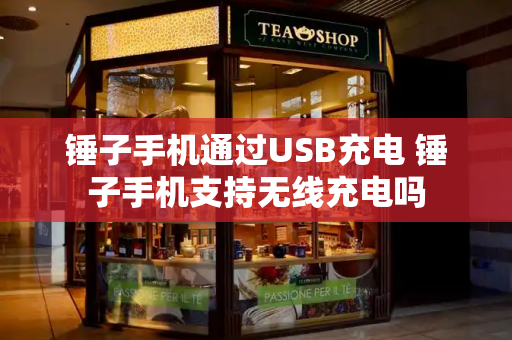 锤子手机通过USB充电 锤子手机支持无线充电吗-第1张图片-星选测评