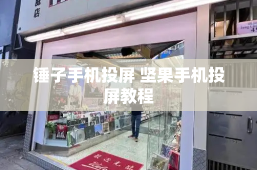 锤子手机投屏 坚果手机投屏教程