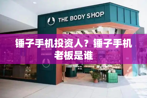 锤子手机投资人？锤子手机老板是谁-第1张图片-星选测评