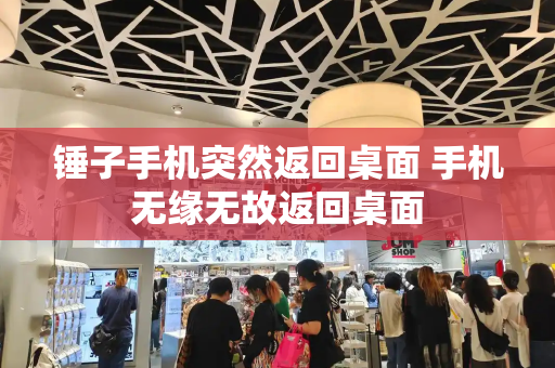 锤子手机突然返回桌面 手机无缘无故返回桌面